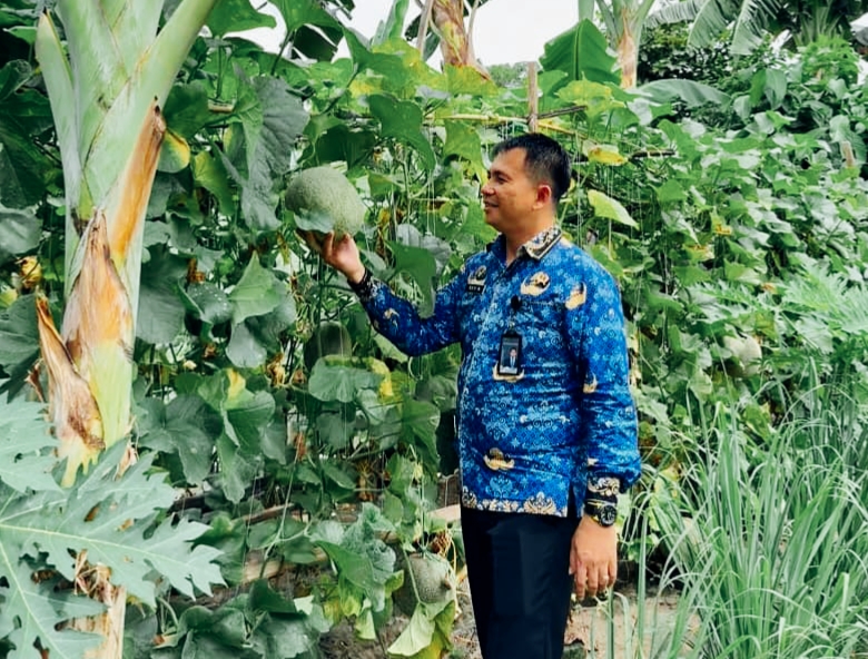 Panen Melon di Balik Jeruji: Kisah Sukses Ketahanan Pangan dan Pembinaan di Lapas Tanjung Balai Asahan