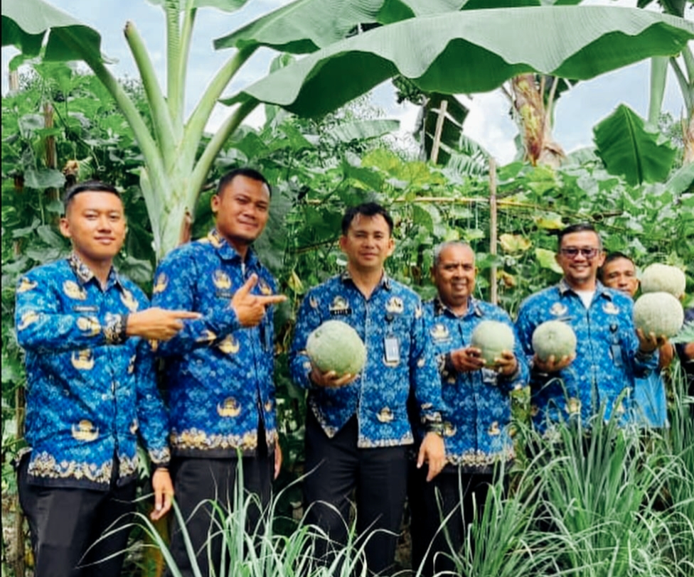 Panen Melon di Balik Jeruji: Kisah Sukses Ketahanan Pangan dan Pembinaan di Lapas Tanjung Balai Asahan